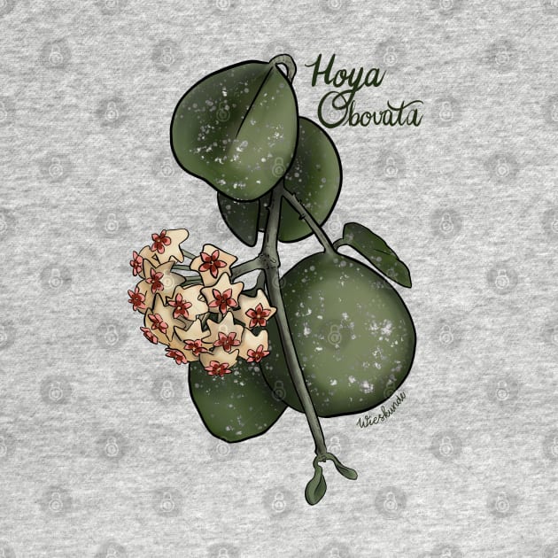 Hoya Obovata by Wieskunde